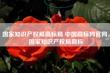 国家知识产权局商标局 中国商标网官网，国家知识产权局商标
