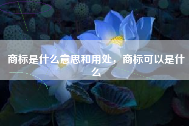 商标是什么意思和用处，商标可以是什么