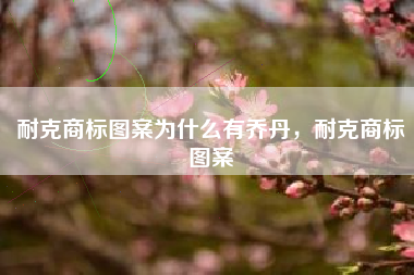 耐克商标图案为什么有乔丹，耐克商标图案