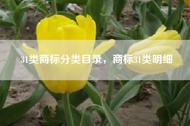 31类商标分类目录，商标31类明细