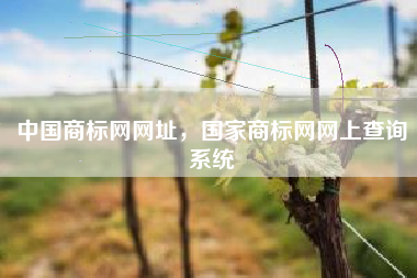 中国商标网网址，国家商标网网上查询系统