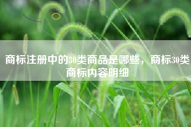 商标注册中的30类商品是哪些，商标30类商标内容明细