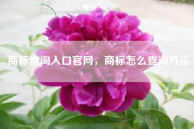商标查询入口官网，商标怎么查询方法