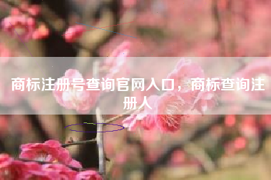 商标注册号查询官网入口，商标查询注册人