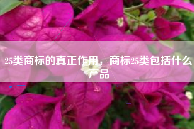 25类商标的真正作用，商标25类包括什么产品