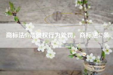 商标法57条侵权行为处罚，商标法57条