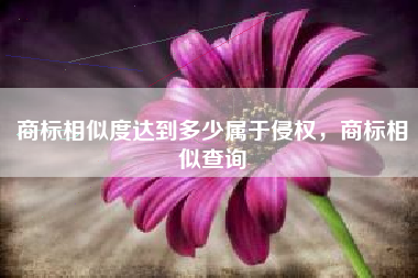 商标相似度达到多少属于侵权，商标相似查询
