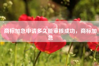 商标加急申请多久能审核成功，商标加急