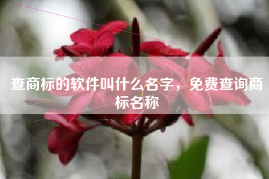 查商标的软件叫什么名字，免费查询商标名称