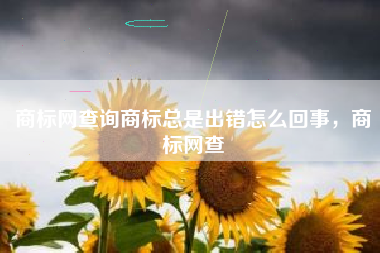 商标网查询商标总是出错怎么回事，商标网查