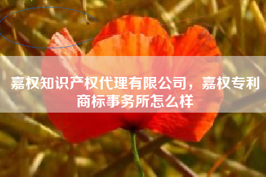 嘉权知识产权代理有限公司，嘉权专利商标事务所怎么样