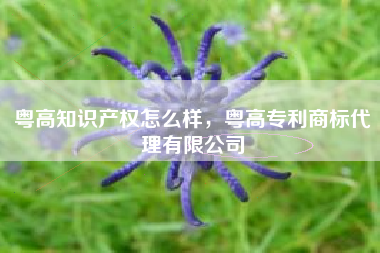 粤高知识产权怎么样，粤高专利商标代理有限公司