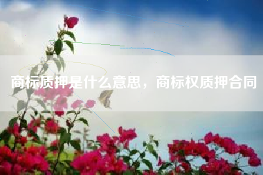 商标质押是什么意思，商标权质押合同