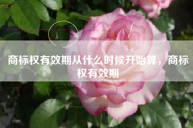 商标权有效期从什么时候开始算，商标权有效期