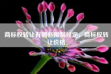 商标权转让有哪些限制规定，商标权转让价格