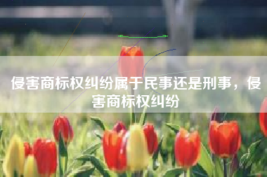 侵害商标权纠纷属于民事还是刑事，侵害商标权纠纷