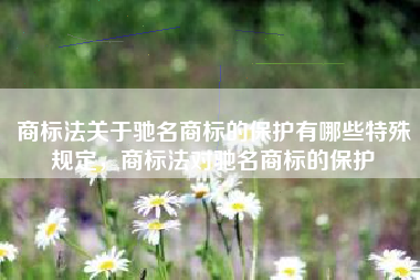 商标法关于驰名商标的保护有哪些特殊规定，商标法对驰名商标的保护