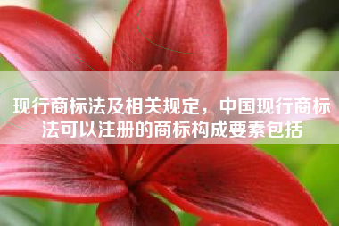 现行商标法及相关规定，中国现行商标法可以注册的商标构成要素包括