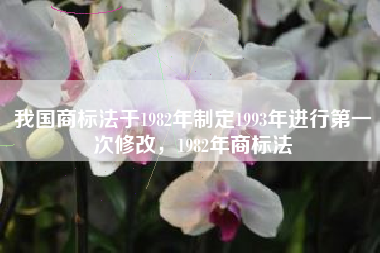 我国商标法于1982年制定1993年进行第一次修改，1982年商标法