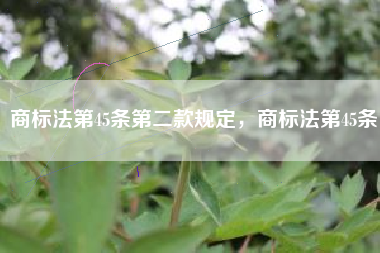 商标法第45条第二款规定，商标法第45条
