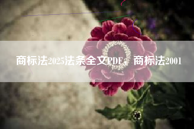 商标法2025法条全文PDF，商标法2001