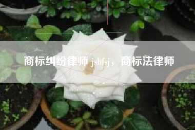 商标纠纷律师 jsbfsj，商标法律师
