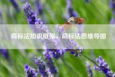 商标法知识框架，商标法思维导图
