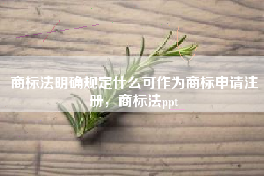 商标法明确规定什么可作为商标申请注册，商标法ppt