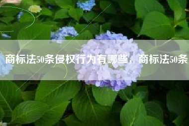 商标法50条侵权行为有哪些，商标法50条