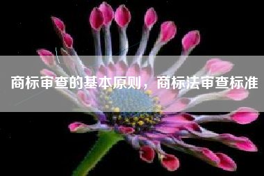 商标审查的基本原则，商标法审查标准