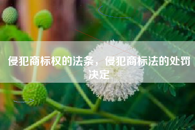 侵犯商标权的法条，侵犯商标法的处罚决定