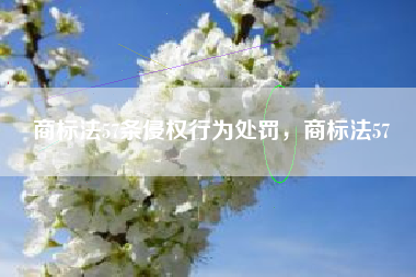 商标法57条侵权行为处罚，商标法57