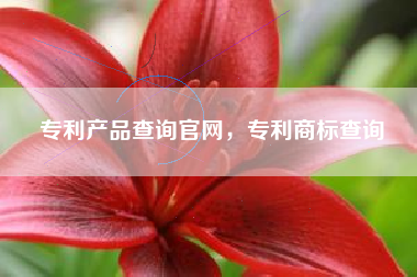 专利产品查询官网，专利商标查询