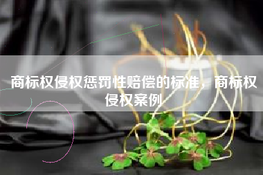 商标权侵权惩罚性赔偿的标准，商标权侵权案例