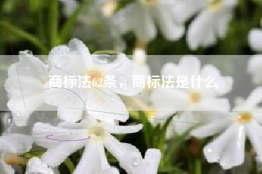 商标法62条，商标法是什么