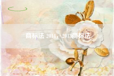 商标法 2014，2013商标法