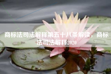 商标法司法解释第五十八条解读，商标法司法解释2020