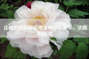 法国的商标标记用字母什么表示，法国商标法