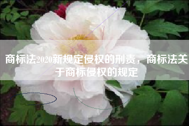 商标法2020新规定侵权的刑责，商标法关于商标侵权的规定