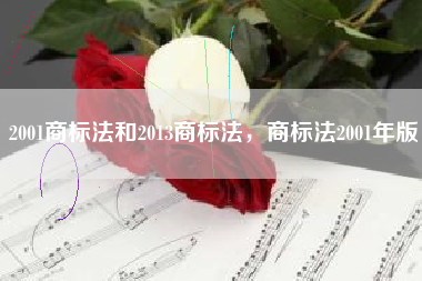2001商标法和2013商标法，商标法2001年版