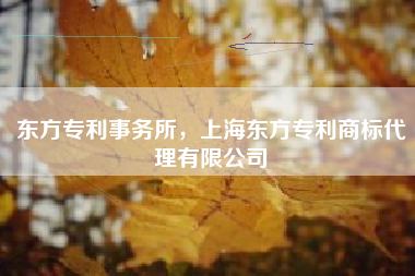 东方专利事务所，上海东方专利商标代理有限公司
