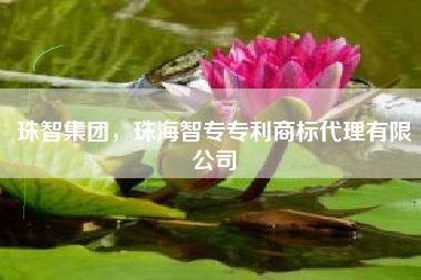 珠智集团，珠海智专专利商标代理有限公司