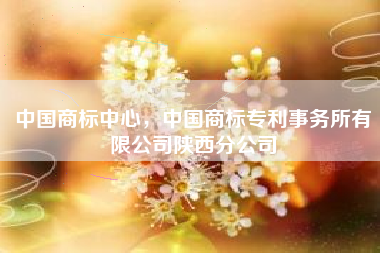中国商标中心，中国商标专利事务所有限公司陕西分公司