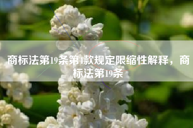 商标法第19条第4款规定限缩性解释，商标法第19条