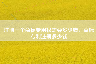 注册一个商标专用权需要多少钱，商标专利注册多少钱