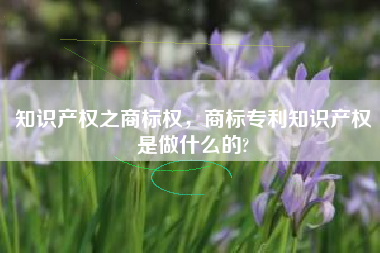 知识产权之商标权，商标专利知识产权是做什么的?