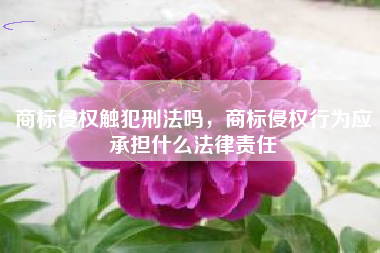 商标侵权触犯刑法吗，商标侵权行为应承担什么法律责任