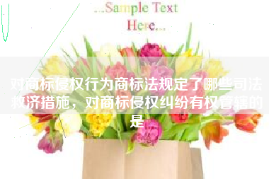 对商标侵权行为商标法规定了哪些司法救济措施，对商标侵权纠纷有权管辖的是