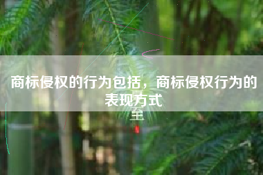 商标侵权的行为包括，商标侵权行为的表现方式