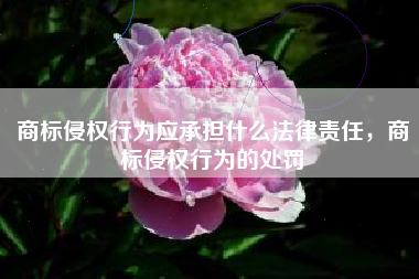 商标侵权行为应承担什么法律责任，商标侵权行为的处罚